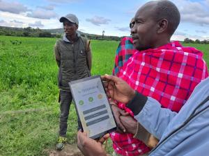 Kenyan farmers view the Boomitra carbon project app on a tablet in a green field, part of the East Africa Croplands Project supporting soil carbon monitoring.