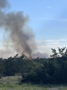 fredericksburg texas wild fire brush fire 2025