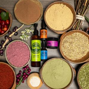 Four Setú skincare bottles arranged neatly and surrounded by vibrant Latin American ingredients like açaí berries, yerba mate leaves, camu camu, and maca, highlighting the natural origin and richness of each product.