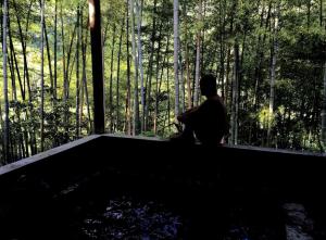 Person meditating in an outdoor onsen nestled within a peaceful bamboo forest.