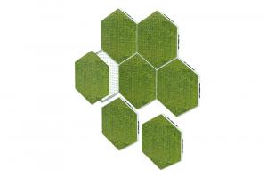 Moss Hexa | Photo by Taiga