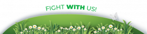  Las Vegas turf removal, Nevada water law, urban heat island Las Vegas,