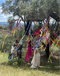 Vogue Shooting in the olive groves