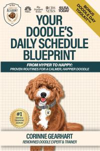 Book cover of Your Doodle’s Daily Schedule Blueprint™, featuring a Goldendoodle illustration and the tagline: “Daily structure to calm the chaos.”