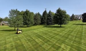 Modern Lawn – Applying
