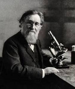Best known for his research in immunology (study of immune systems) and thanatology (study of death).