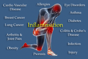 When an invader (like a virus) tries to enter your body, or you get injured, your immune system sends out its first responders.