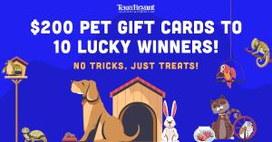 Image with a dog and the text Terry Bryant’s Summer of Pets Gift Card Giveaway