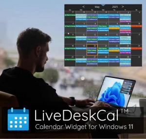LiveDeskCal in use showing a busy professional with laptop calendar