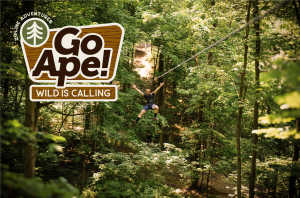 A man ziplining through a lush forest canopy with a joyful expression, wearing safety gear. The new Go Ape logo is prominently displayed in the corner, symbolizing the brand’s refreshed identity focused on connection, courage, and outdoor adventure.