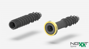 Two threaded sacroiliac implants