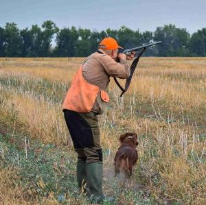 Quail hunter at Gray Ghost Plantation