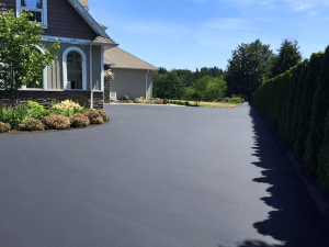 Driveway Paving Will's Asphalt Paving DE