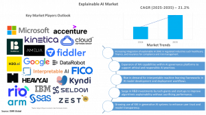 Explainable AI Market