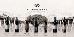 Imagen del portafolio completo de Pelleriti Priore, con siete vinos incluyendo Malbec, Cabernet Franc y blends, todos con puntajes entre 95 y 97