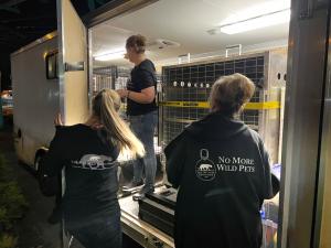 Wildcat Sanctuary team preparing transport