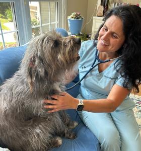 Dr. Hughes is a Cary, NC house call veterinarian that provides affordable in-home care to cats, dogs, and other pets.