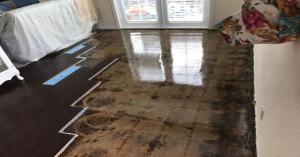  hardwood floor urine odor removal 1