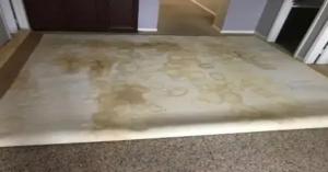odor remediation service 1
