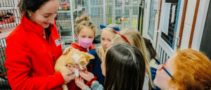 A person in a red jacket holds an orange cat while surrounded by excited children in a cozy animal shelter.
