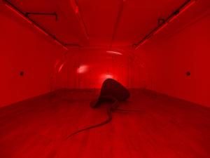 LUCA by Anastasia Komar at Management Gallery is an installation exploring the origins of life through organic-synthetic forms, sound by Kamron Saniee, and text by Maya Kotomori.