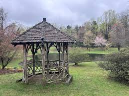 Friends of Robinson Park