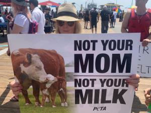 sign that says: not your mom, not your milk