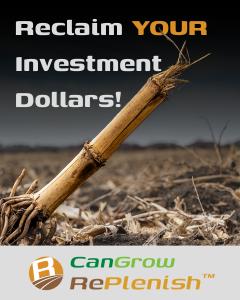 Image of corn stalk and residue post harvest with the statement Reclaim your investment dollars with CanGrow Replenish. Image used to promote the residue breakdown and nutrient cycling capabilities of CanGrow Replenish