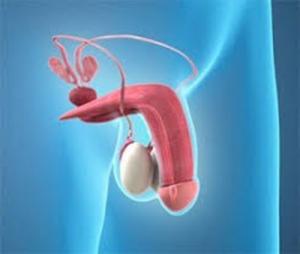 Erectile Dysfunction Market Report