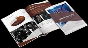 Investor-Ready Business Plan