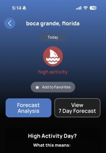 Boca Grande Shark Risk Forecast