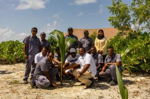 Tree planting