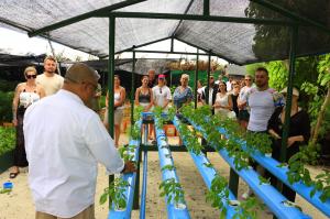 Tour around the organic farm