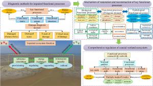 FIG 2. RESTORATION AND DEVELOPMENT TRENDS OF DAMAGED COASTAL WETLAND ECOSYSTEMS IN GREATER BAY AREAS
