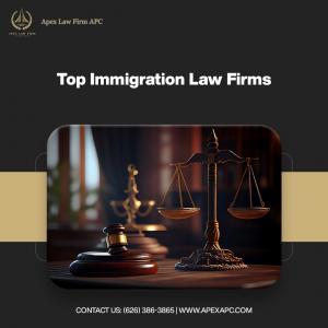 Immigration Lawyer