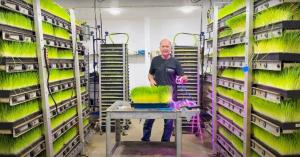 Paul Pluss standing in a vertical farming room, holding a tray of fresh hydroponic barley fodder between stacked grow racks.