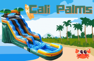 Water Slide Rentals In Vallejo, CA - MonkeyBouncerz