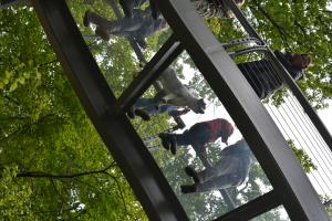 structural glass floors