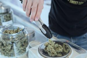 medical cannabis in Virginia