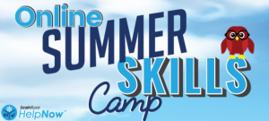 Brainfuse Summer Skills Camp