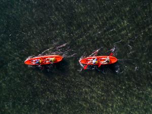 Team is paddling on scenic river