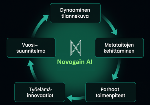 Kiteytys Novogain AI tiimin kehittämisprosessista