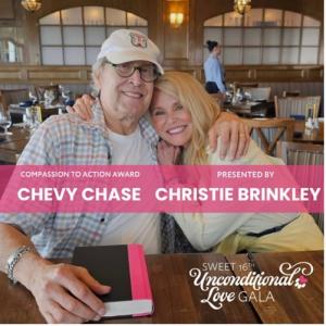 Compassion to Action Award Chevy Chase presented by Christie Brinkley (Image credits: SASF)