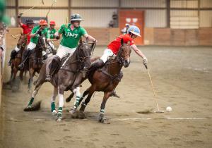 college arena polo players vie for the ball