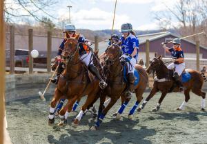 arena polo players on horses