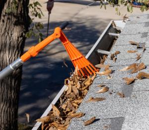 EZ Smart Mini-Rake Cleaning Gutter Debris