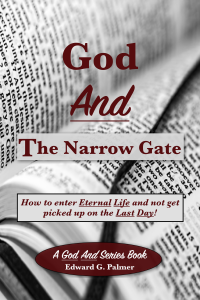 Image of the God And The Narrow Gate book cover