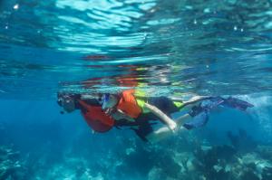 Family Snorkeling at Grecian Dry Rocks following a green turtle