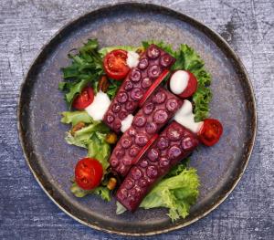 Drei Stücke pflanzlicher Oktopus von Revo Foods, angerichtet auf einem gemischten grünen Salat mit Kirschtomaten, Pistazien und cremigem weißem Dressing, serviert auf einem rustikalen dunklen Keramikteller.
