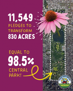 An illustrated map of New York City’s Central Park overlaid with flowers, representing 36 million sq. ft. of lawn pledged for conversion during Reduce Your Lawn Day. Text highlights 11,500+ participants and the collective impact of the movement